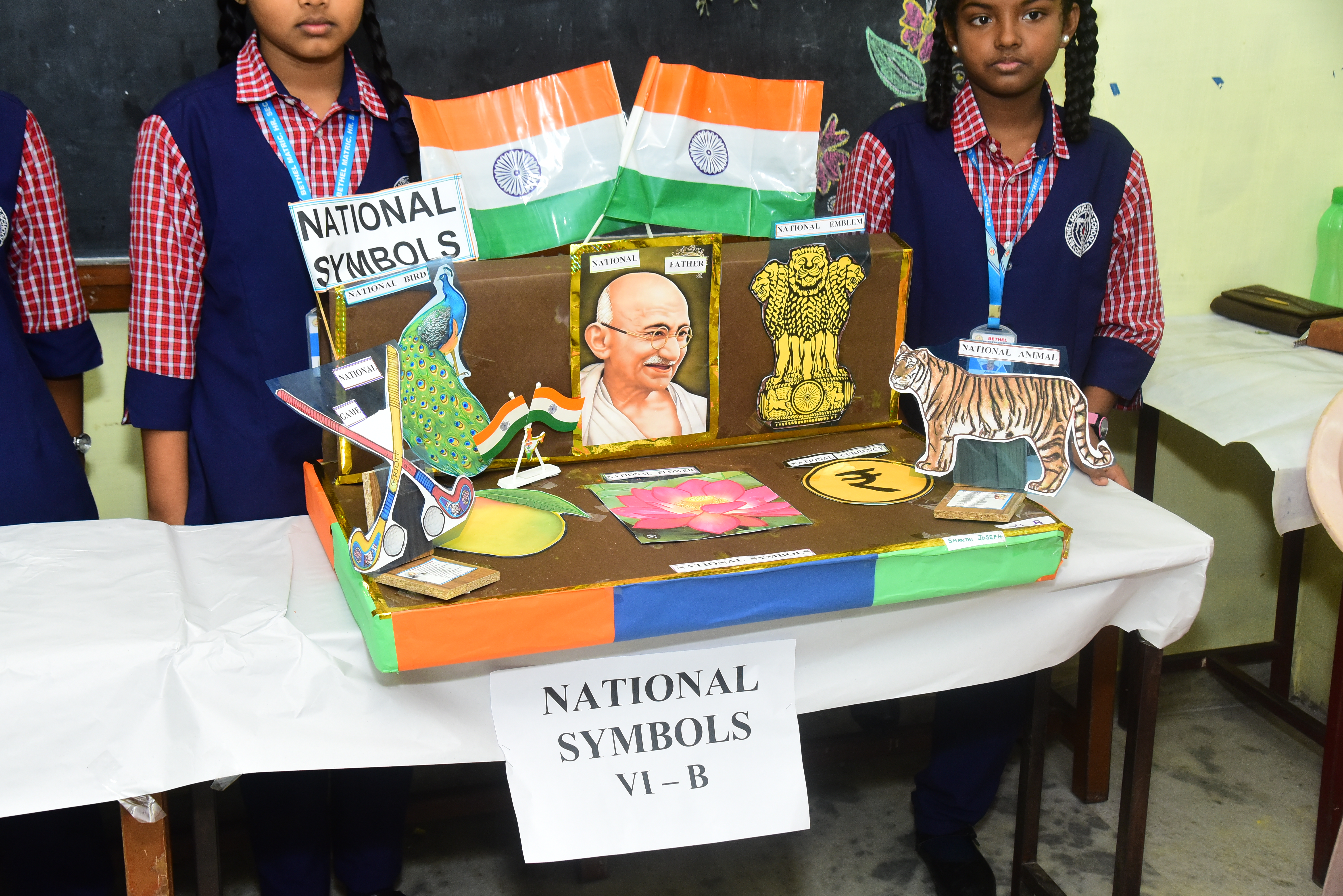 Innovative Model Showcase